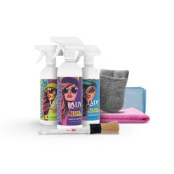 Lady Line by WellWex belső autóápolási csomag - BASIC